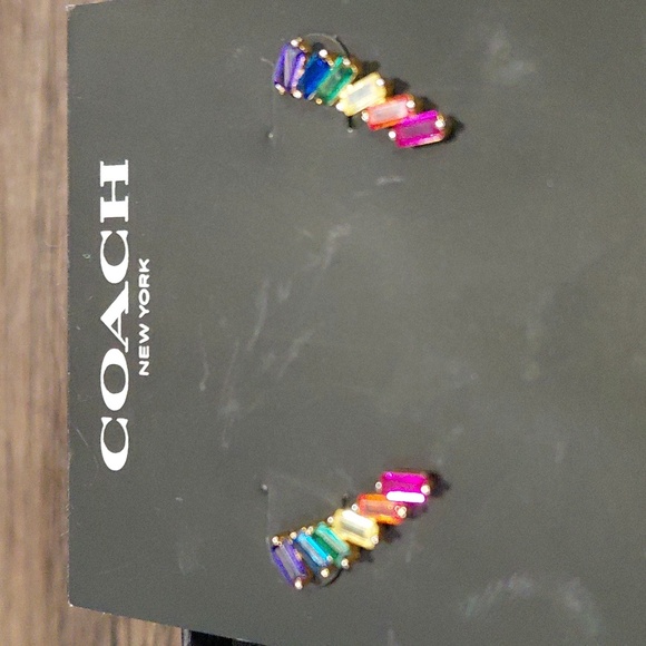 COACH Rainbow Stud Earrings - Picture 3 of 4